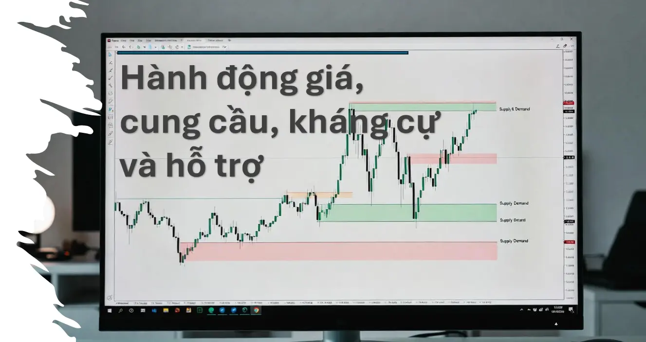 Đầu tư cho người mới: Đọc hiểu hành động giá (price action), cung – cầu và khái niệm hỗ trợ kháng cự